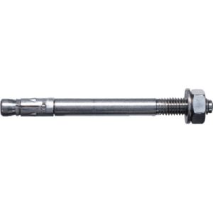 フィッシャー fischer フィッシャー 501431 ボルトアンカー FAZ2 12/30 C4 10本入
