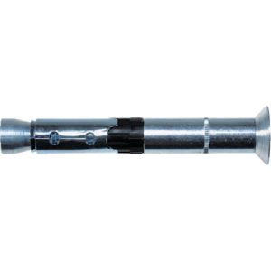 フィッシャー fischer フィッシャー 503137 ボルトアンカー FH2 10/25 SK 50本入