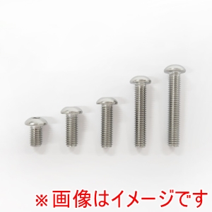 エヌティービー NTB BCB06-015S 六角穴付きボタンボルト M6-15 10本 エヌティービー