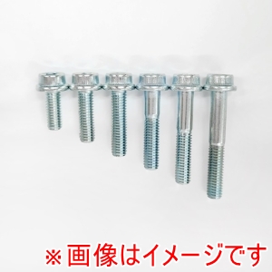 エヌティービー NTB FSB06-040U 六角穴付きフランジボルト M6-40 10本 エヌティービー