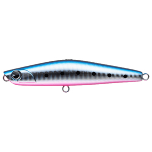アイマ ima アイマ ヨイチ 99 バリスタ YI99B-005 マコイワシ