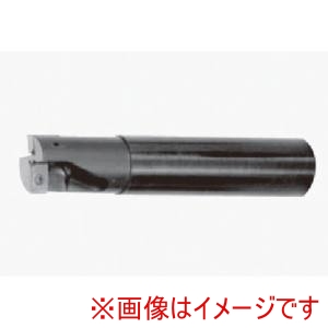タンガロイ Tungaloy タンガロイ EVX10020RLA 柄付TACミル 1本 F メーカー直送 法人限定 代引不可 北海道沖縄離島不可