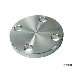 フローバル FLOBAL フローバル SUS-10K-BL-FF-40A SUS304 10K 閉止フランジ 14100574