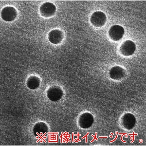 メルク Merck  メルク GTTP04700 アイソポア・メンブレンフィルタ 100枚