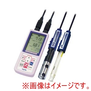 東亜DKK 東亜DKK ハンディ溶存酸素計 DM-32P