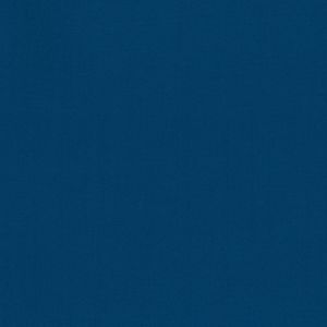 清原 KIYOHARA KIYOHARA KOF02-50 BL パレットカラー帆布 11号 生地 カットクロス 無地 綿100% 約110cm×50cmカット BL ブルー 清原