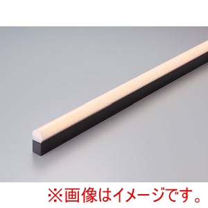 DNライティング DNライティング TRL1250L24D-BK-F1-APL LED間接器具