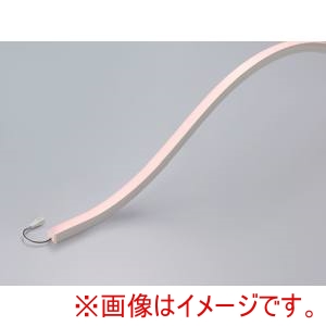 DNライティング DNライティング FXCT-LED467H20-R1 LEDモジュール