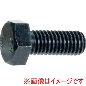 トラスコ中山 TRUSCO トラスコ中山 S540-1025 六角ボルト 三価黒 全ねじ M10X25 10本入り
