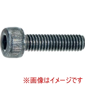 トラスコ中山 TRUSCO トラスコ中山 S620-0210 六角穴付ボルト 三価黒 M2X10 20本入り