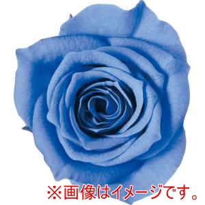 アムール・デ・フルール アムール・デ・フルール ヴェルメイユ アイネス マリンブルー 8輪 PR630-74