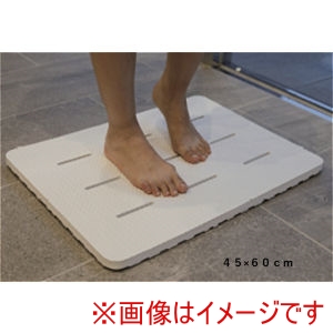 ENA ENA 抗菌 バスマット 45×60cm 471996