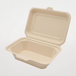 パックスタイル パックスタイル バガス容器 新BBランチ 180-130 1ケース(600) 00675728 メーカー直送 法人限定 代引不可 北海道沖縄離島不可