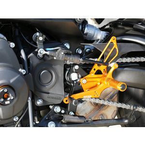 ベビーフェイス BabyFace ベビーフェイス 002-Y020GDR バックステップキット ゴールド リバース MT-09/FZ-09 17-