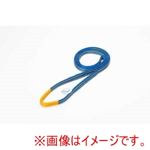 シライ シライ SGE4N-25X3.00 ベルトスリング シグナルスリング R上 HG エコマーク認証商品 SGE4N JIS4等級 エンドレス形 25mm幅×長さ3.0m