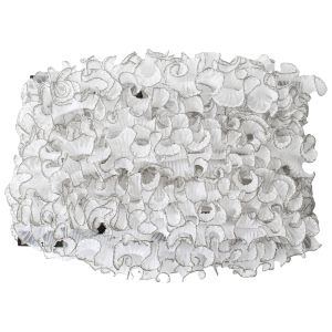 渡辺布帛工業 アサヒ アサヒ テトロンウェーブフリルレース ラメ縁 25mm×15m巻 白×銀 WF-FL7700-25-21