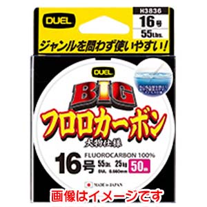 デュエル DUEL デュエル BIG フロロカーボン 50m 2号