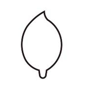 たかもり たかもり たかもりの 生抜 極小 椿 新型