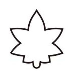 たかもり たかもり たかもりの 生抜 極小 紅葉