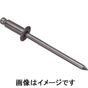 ロブテックス LOBTEX ロブテックス NS4-1 エビ ブラインドリベット スティール/スティール 4-1 1000本入
