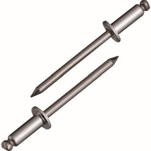 ロブテックス LOBTEX ロブテックス NST6-6 エビ ブラインドリベット ステンレス/ステンレス 6-6 1000本入