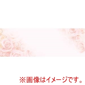 チキュウグリーティングス チキュウグリーティングス 名札カード WP-11 20枚