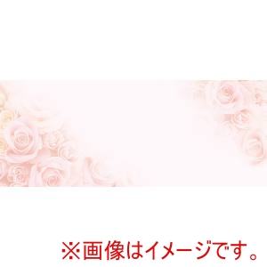 チキュウグリーティングス チキュウグリーティングス 名札カード VP-11 20枚