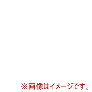チキュウグリーティングス チキュウグリーティングス LPS名札用台紙 LPD-01 20枚