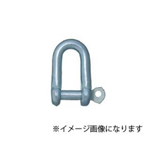ニッサチェイン ニッサチェイン IYJ80 鉄 ユニクロ シャックル 8mm