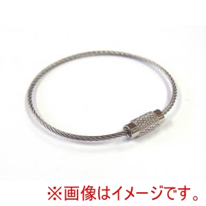 ニッサチェイン ニッサチェイン P-1701 ステンレスキーワイヤー＃101