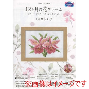 オリムパス オリムパス クロスステッチキット 12ヶ月の花フレーム 1月カトレア 木製フレーム付き OLY-K7506