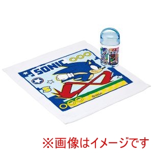 スケーター SKATER スケーター ソニック 抗菌 ケース付き おしぼり OA5AG