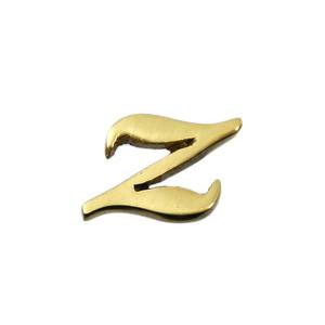 光 光 QS20-Z 真鍮ゴールド文字 小文字 英 z