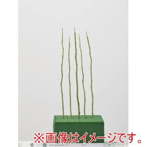 大地農園 大地農園 ナチュラルステム ローズ グリーン 10本 76-5850-700